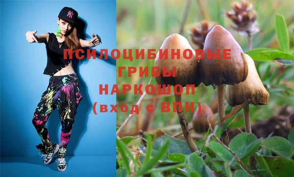 шишки Бородино